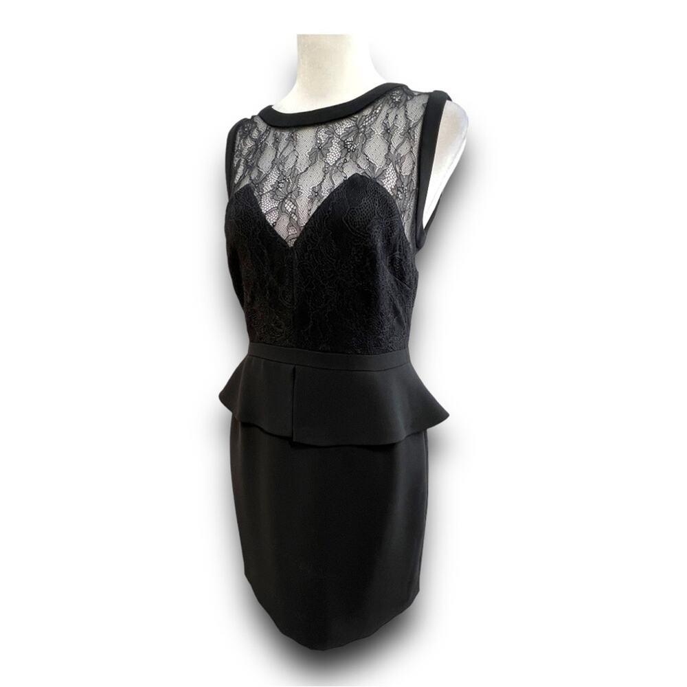SANDRO Sleeveless Black Sheer Lace Sweetheart Neckline Peplum Cocktail Dress SZ1 - Picture 8 of 14